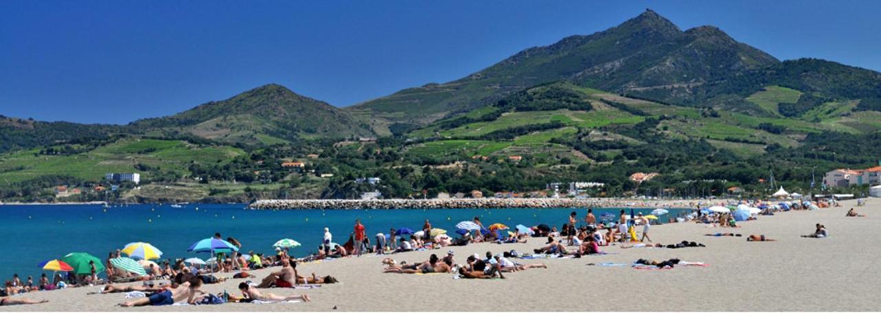 Maison Charmante A Argeles Sur Mer Pres De La Plage Avec Piscine Partagee Exteriér fotografie
